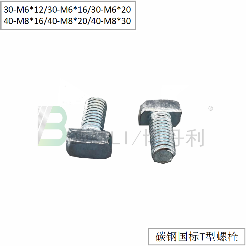 博丹利 国标 T型螺栓 银白